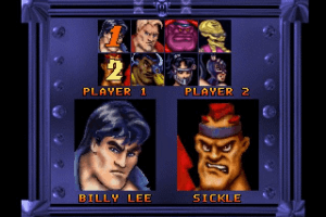 Double Dragon V: The Shadow Falls 6