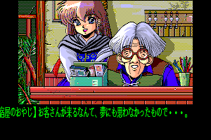 Dragon Knight II 9