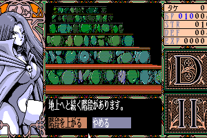 Dragon Knight II 20