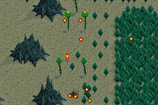 Dragon Spirit 11