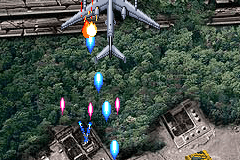 DragonBird 6