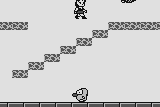 Dream World 5
