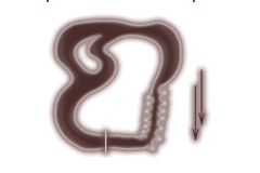 Dreamway 3