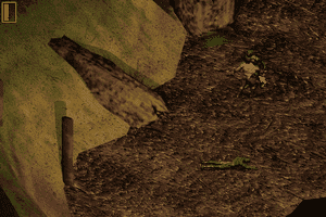 Druid: Daemons of the Mind 2