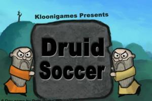 Druid Soccer 0