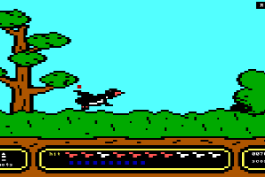 Duck Hunt 1