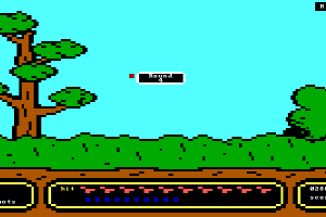 Duck Hunt 6