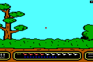 Duck Hunt 7