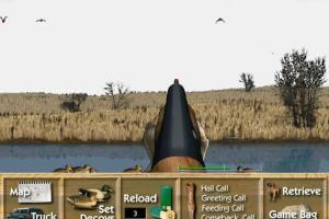 Duck Hunter Pro 3