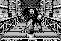 Duke Nukem 3D 12