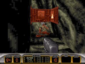 Duke Nukem 3D 43