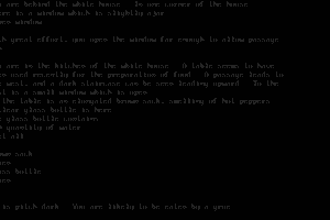 Zork 9
