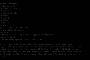 Zork 10