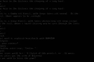 Zork 11