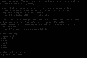 Zork 3