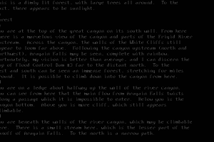 Zork 8