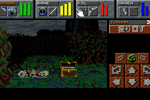 Dungeon Master II: Skullkeep 15