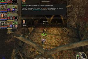 Dungeon Siege II: Broken World 9