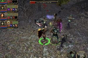 Dungeon Siege II: Broken World 11