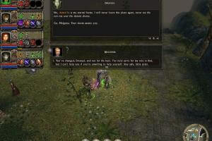 Dungeon Siege II: Broken World 18