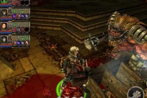 Dungeon Siege II: Broken World 19