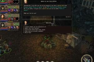 Dungeon Siege II: Broken World 2