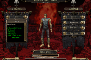 Dungeon Siege II 11