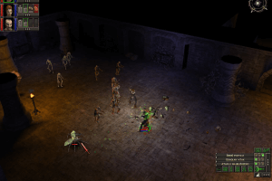 Dungeon Siege 30