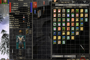 Dungeon Siege: Legends of Aranna 6