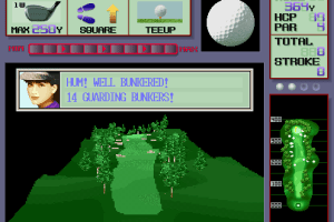 Dynamic Country Club 1