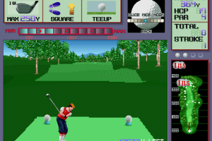 Dynamic Country Club 2