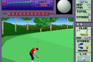 Dynamic Country Club 6
