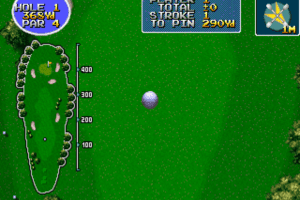 Eagle Shot Golf 7
