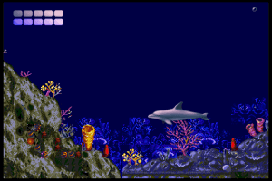 Ecco the Dolphin 9