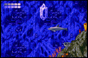 Ecco the Dolphin 10