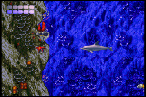Ecco the Dolphin 1