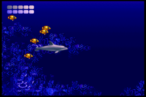 Ecco the Dolphin 2