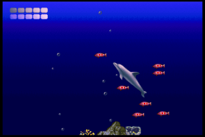 Ecco the Dolphin 3