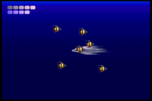 Ecco the Dolphin 4