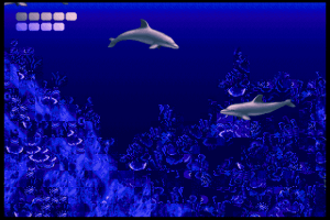 Ecco the Dolphin 5