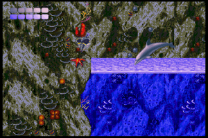 Ecco the Dolphin 6