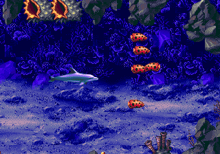 download ecco the tides of time download ecco the tides of time