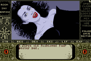 Elvira 3