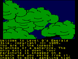 Emerald Isle abandonware