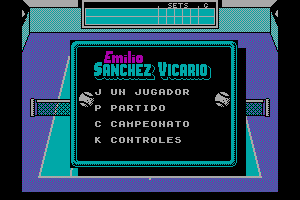 Emilio Sanchez Vicario Grand Slam abandonware