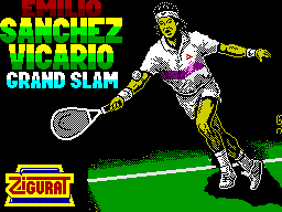 Emilio Sanchez Vicario Grand Slam 0