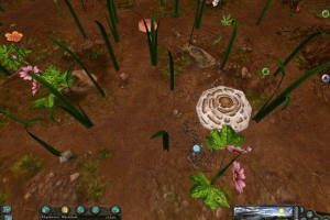 Les Fourmis 9