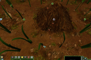 Les Fourmis 8