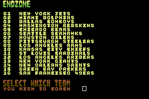 Endzone 1