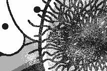Engacho! for WonderSwan 9